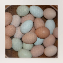 Schale von Hühnereiern