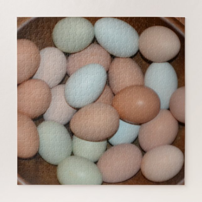 Schale von Hühnereiern (Vertikal)