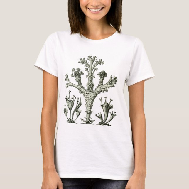 Schalen-Flechte T-Shirt (Vorderseite)