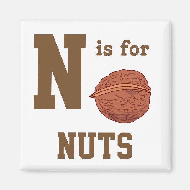 Schalenfrüchte Magnet (Vorne)