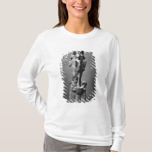 Schalenstand gebildet von drei Steinböcken T-Shirt