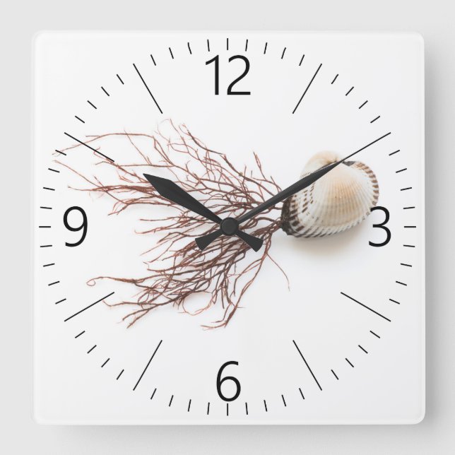 Schalentiere Quadratische Wanduhr (Vorderseite)