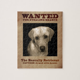 Schalkhafter Retriever, auch Gelber Lab