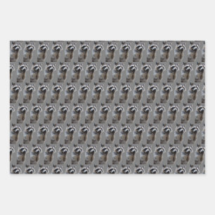 Schalkhafter Waschbär Geschenkpapier Set