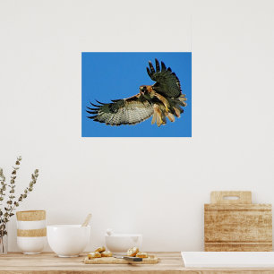 Schall der Gerahmten Warnmeldung Poster