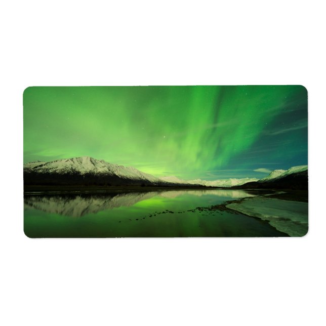 Schalotten Aurora (Vorne)