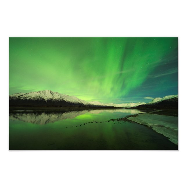 Schalotten Aurora Fotodruck (Vorne)