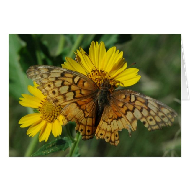 SCHALTFLÄCHE (Vorderseite (Horizontal))