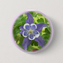Schaltfläche "Aquilegia Columbine Blume"
