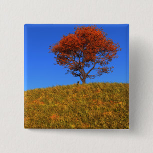 Schaltfläche "Autotag löschen" Button