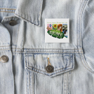 Schaltfläche "Biome Seasons" Button