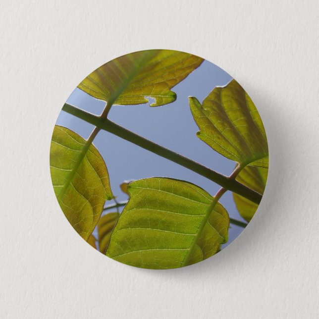 Schaltfläche "Blätter im Frühjahr" Button (Vorderseite)