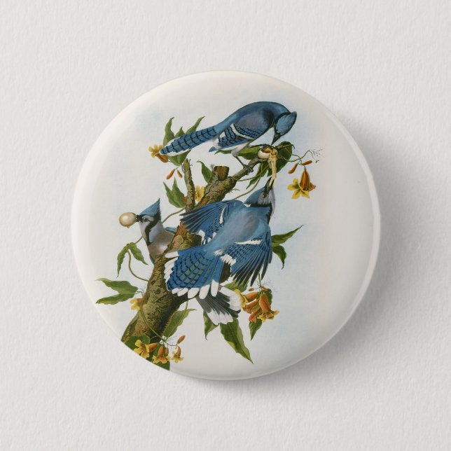 Schaltfläche "Blau Jay" Button (Vorderseite)