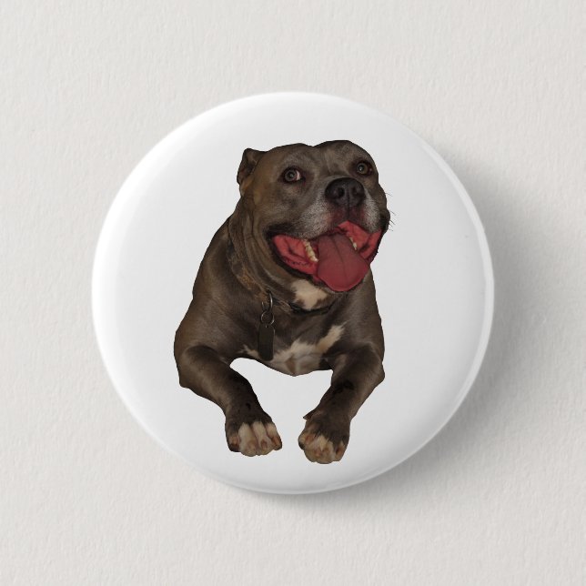 Schaltfläche "Blaue Nose Pitbull" Button (Vorderseite)