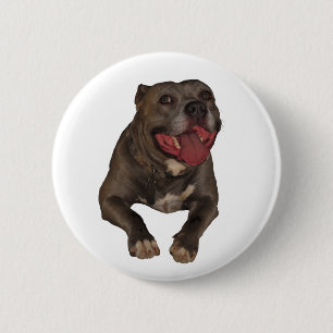 Schaltfläche "Blaue Nose Pitbull" Button