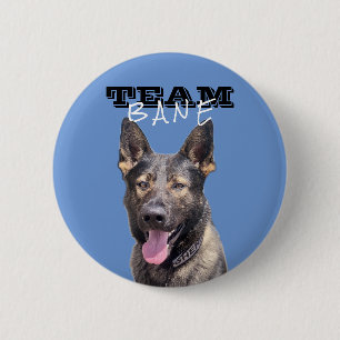 Schaltfläche "Blaues Team" Button