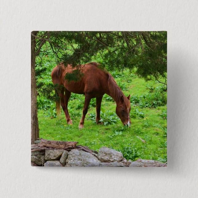 Schaltfläche Button (Vorderseite)