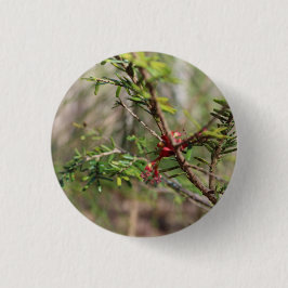 Schaltfläche Button