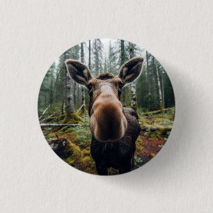 Schaltfläche Button auswählen