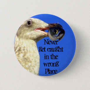 Schaltfläche "Catch Me_" Button