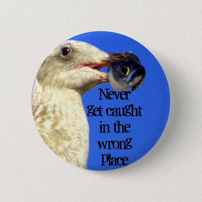 Schaltfläche "Catch Me_" Button (Vorderseite)