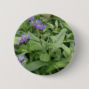 Schaltfläche Cornblumen Button