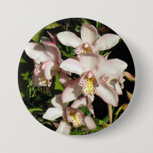 Schaltfläche Cymbidium Orchio Button
