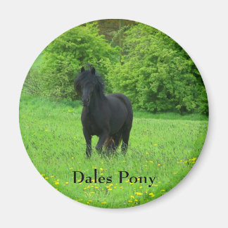 Schaltfläche Dales Pony Magnet