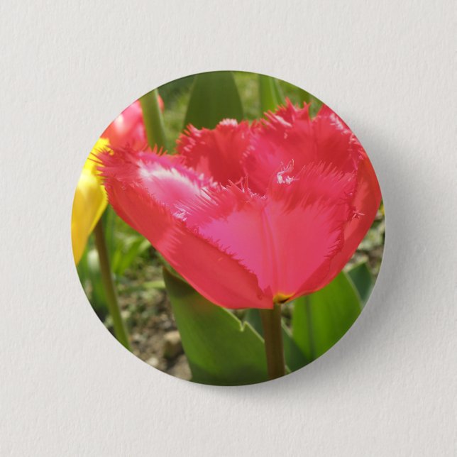 Schaltfläche "Fringed Tulips" Button (Vorderseite)