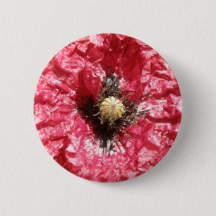 Schaltfläche für die Macro-Blume mit hübschem rote Button
