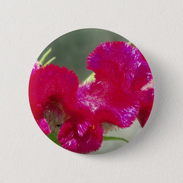 Schaltfläche für die rosa Blume Button (Vorderseite)