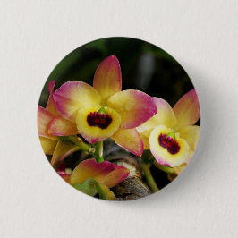 Schaltfläche für lebendiges Orchid-Button Button