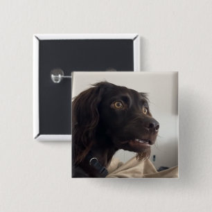 Schaltfläche für verwirrtes Dog Meme-Button Button