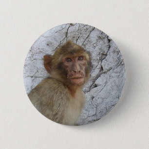 Schaltfläche Gibraltar-Monkey Button