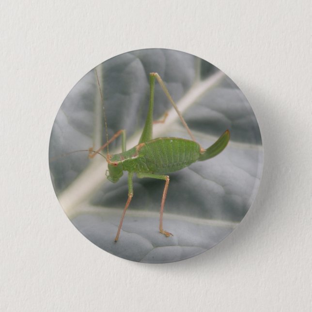 Schaltfläche "Green Cricket Macro" Button (Vorderseite)