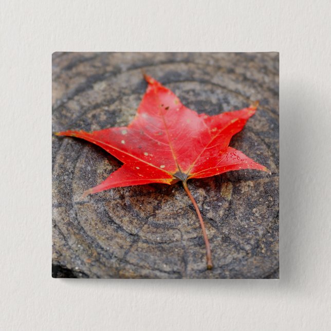 Schaltfläche "Herbstlemme" auf dem Log-Platz Button (Vorderseite)
