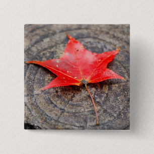 Schaltfläche "Herbstlemme" auf dem Log-Platz Button