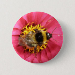 Schaltfläche Hummel Button