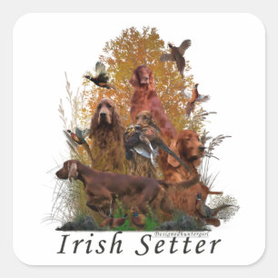 Schaltfläche "Irish Setter Tapestry T - Shirt Schl Quadratischer Aufkleber