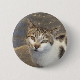 Schaltfläche "Katze" Button