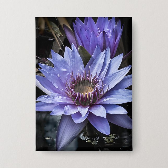 Schaltfläche "New Blue" Button (Vorderseite)