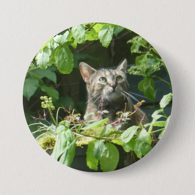 Schaltfläche "niedliche Vogelbeobachtung" Button (Vorderseite)