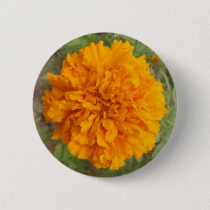 Schaltfläche Orange Carnation Button