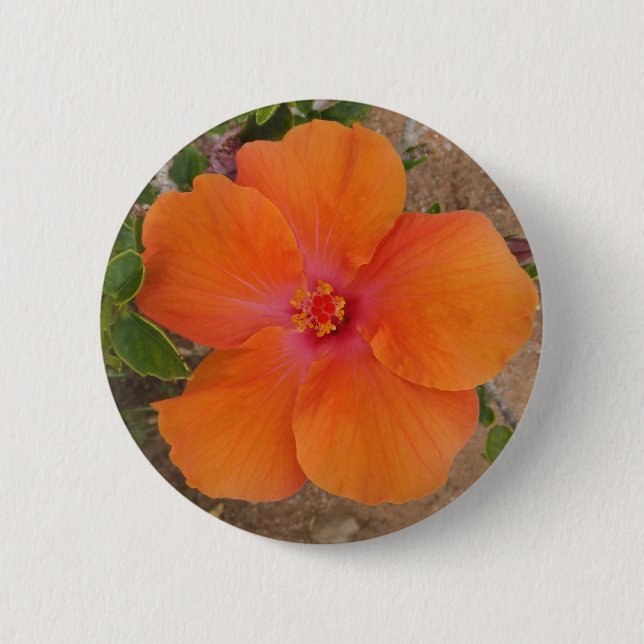 Schaltfläche Orange Hibiskus Button (Vorderseite)