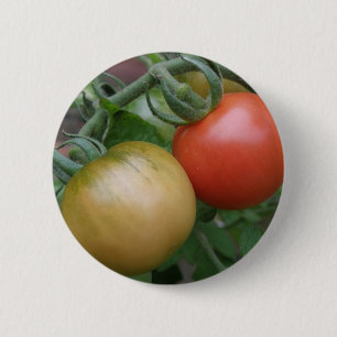 Schaltfläche Orange und Rote Tomaten Button
