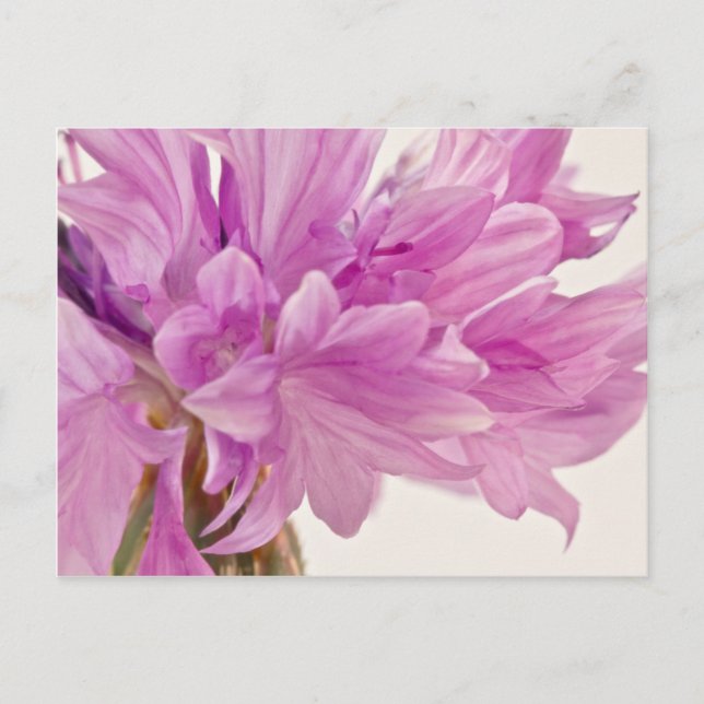 Schaltfläche Postkarte (Vorderseite)