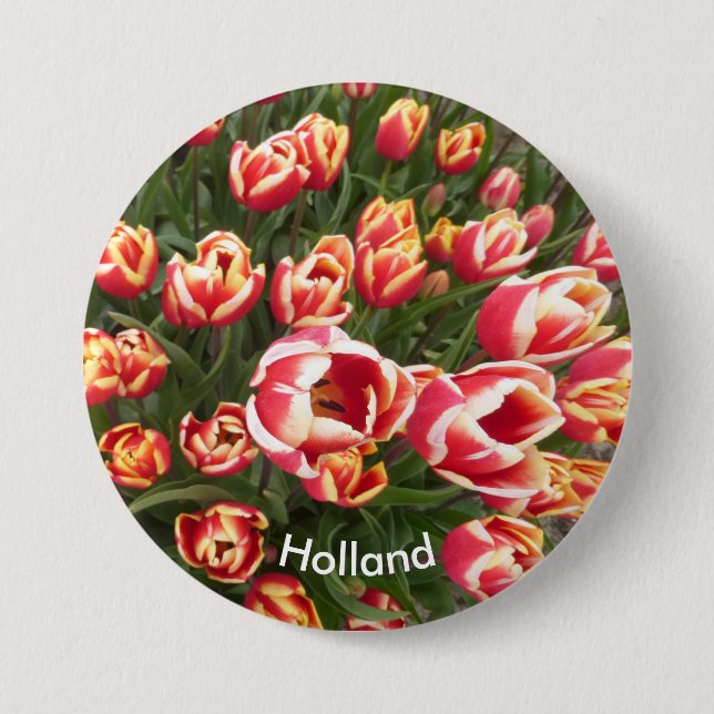 Schaltfläche Red and White Tulip Field Holland Button (Vorderseite)