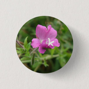 Schaltfläche Red Campion Wildblume Button