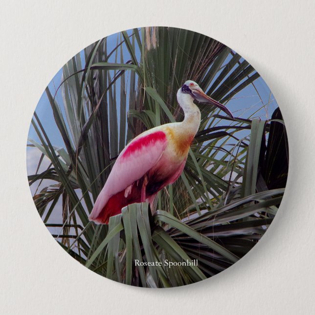Schaltfläche "Roseed Spoonbill" Button (Vorderseite)