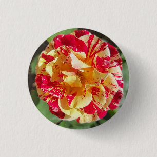 Schaltfläche Rote und Gelbe Rose Button